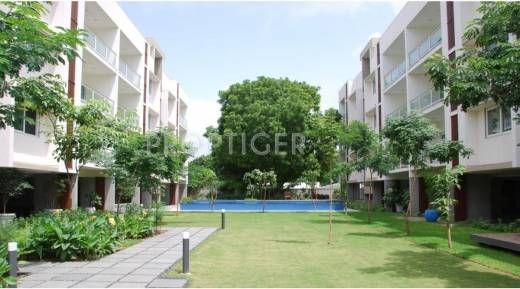 Amaya Properties 48K