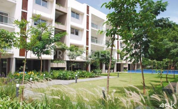  48k Amaya Properties 48K