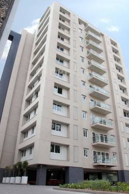  612-elevate Images for Elevation of Amaya 612 Elevate