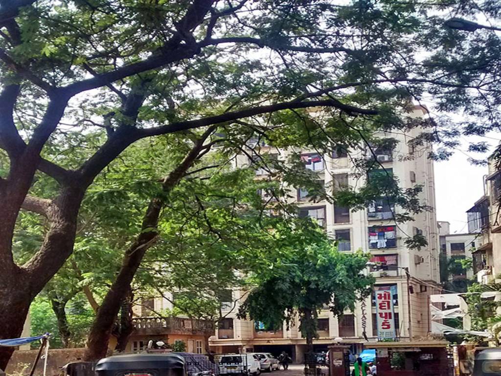 Images for Elevation of Reputed Builder Modi Park