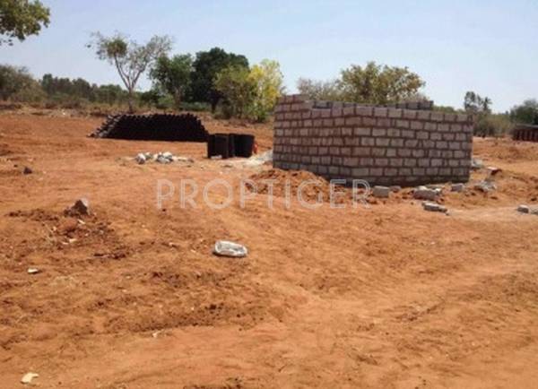 Images for Elevation of Yesh Green County