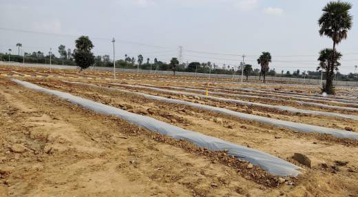 Images for Elevation of SRR Gachibowli Paradise