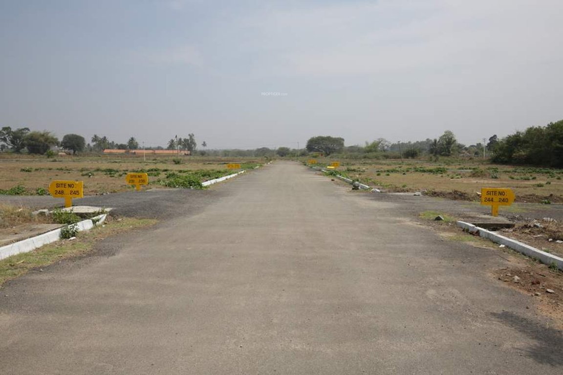  royal garden plots Plot