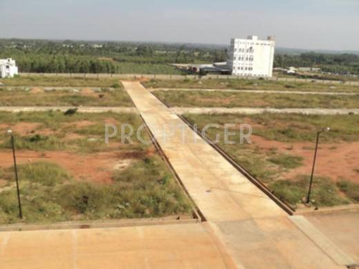 Images for Elevation of Confident Cygnus 2