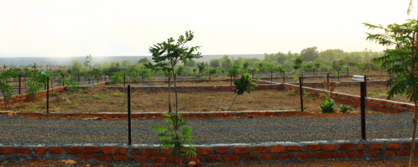 Images for Elevation of Sairung The White Capital Images for Elevation of Sairung The White Capital