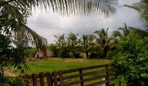 Images for Elevation of Dream Lake Villa Plots