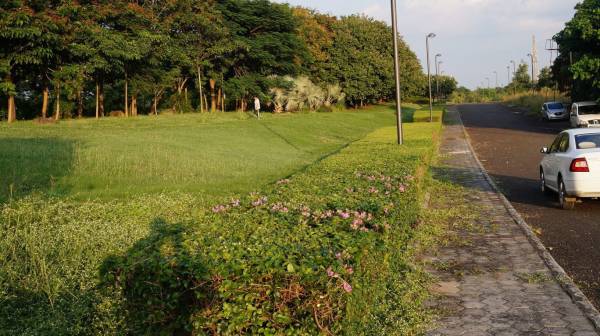 Elevation city-khandwa-road-indore Elevation