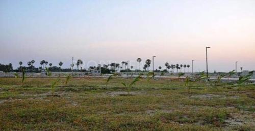  boat-club-ii Chattels Inc Boat Club II