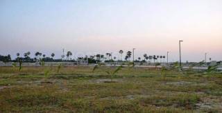 Project Image Project Image