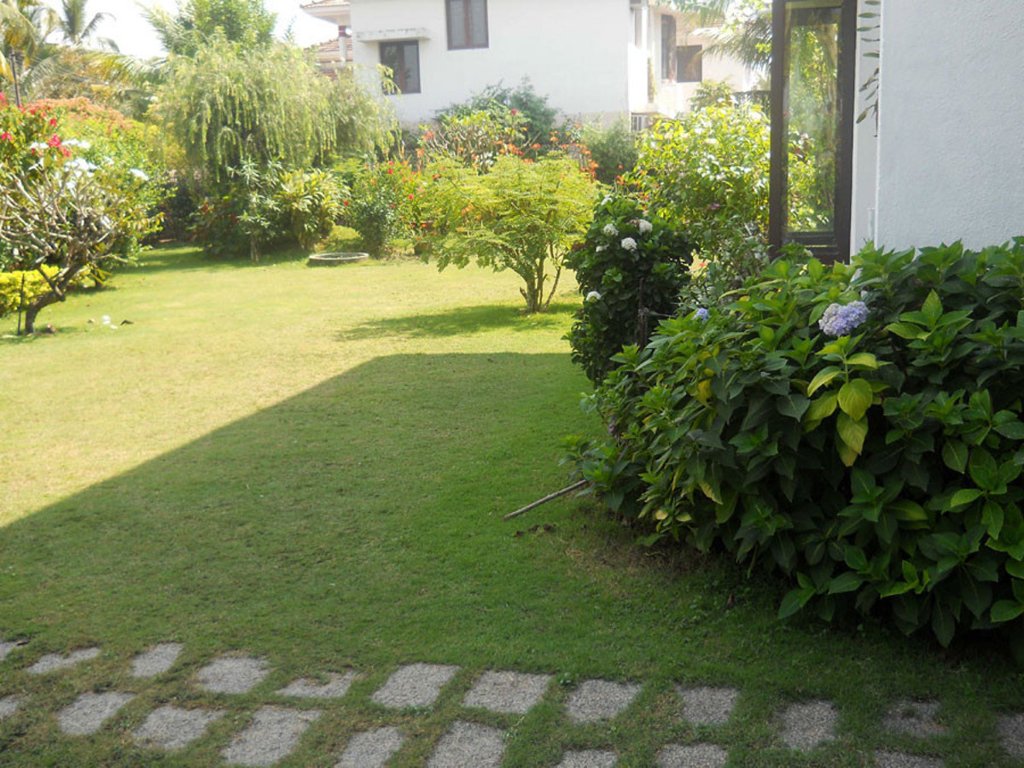 Images for Amenities of Skyline Crystal Waters 1