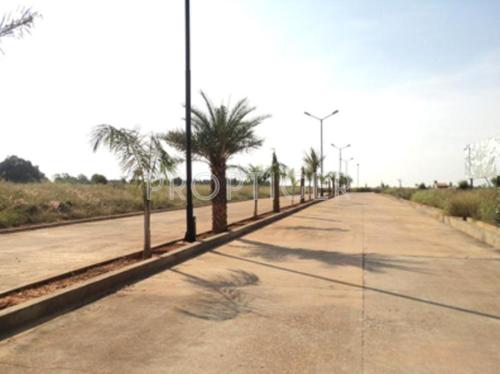  canopus-1 Images for Elevation of Confident Canopus 1