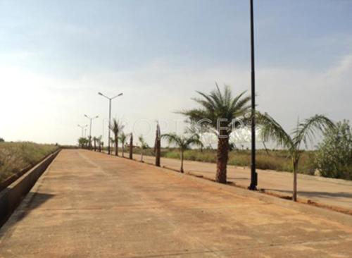  canopus-1 Images for Elevation of Confident Canopus 1