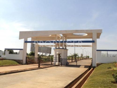  canopus-1 Images for Elevation of Confident Canopus 1