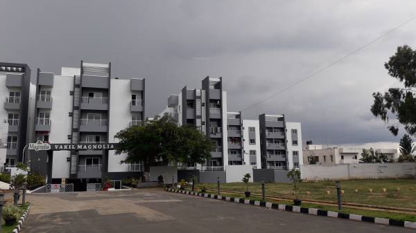  magnolia Images for Project