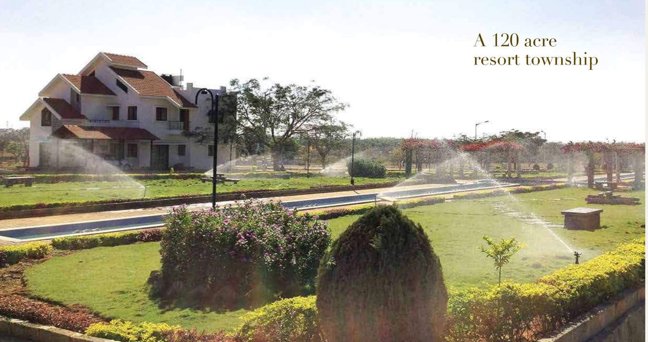  magnolia Images for Amenities of Vakil Magnolia