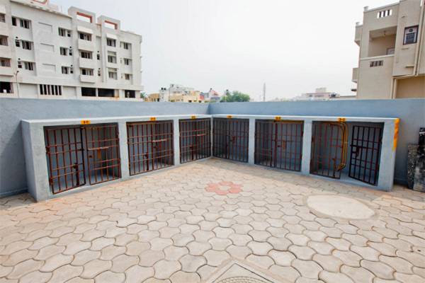 Images for Amenities of Ample Properties Ample Avonlea