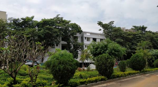  classique-ebony Elevation