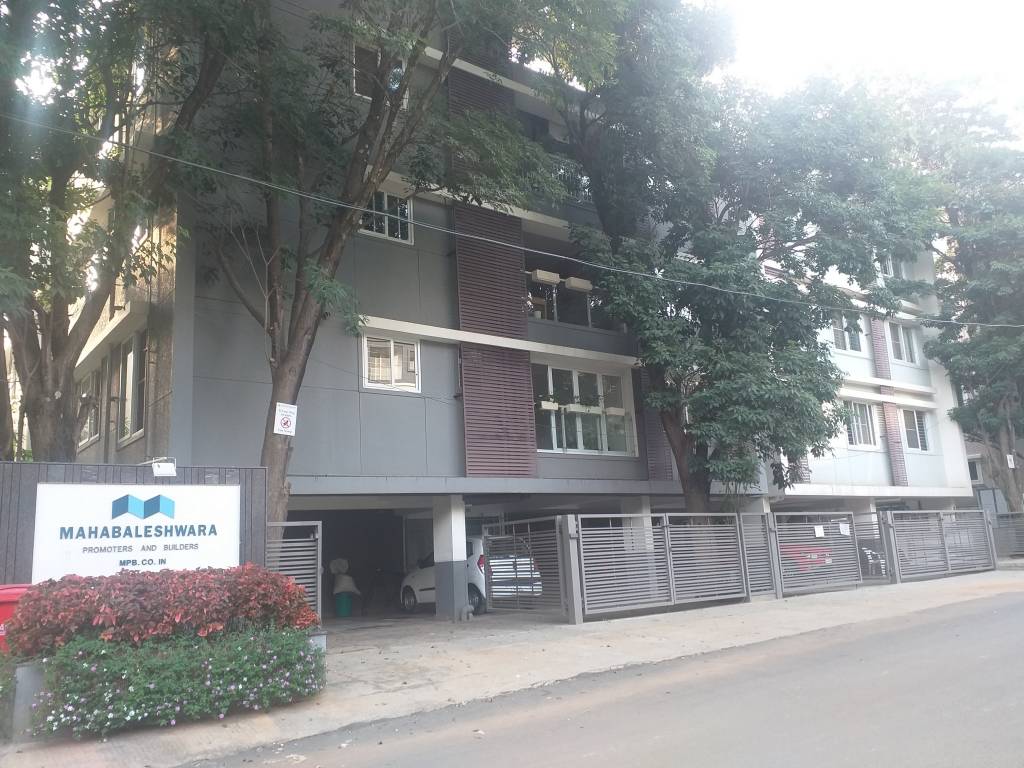  classique ebony Elevation