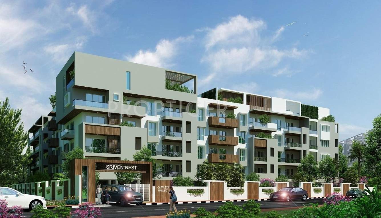  sriven nest Images for Elevation of Cattleya Sriven Nest