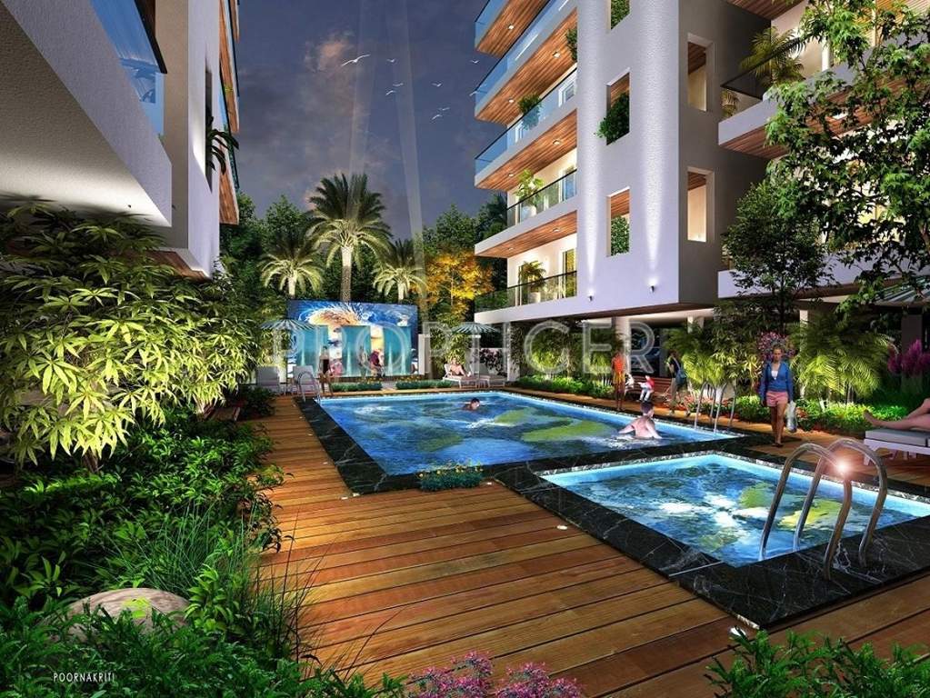  sriven nest Images for Elevation of Cattleya Sriven Nest