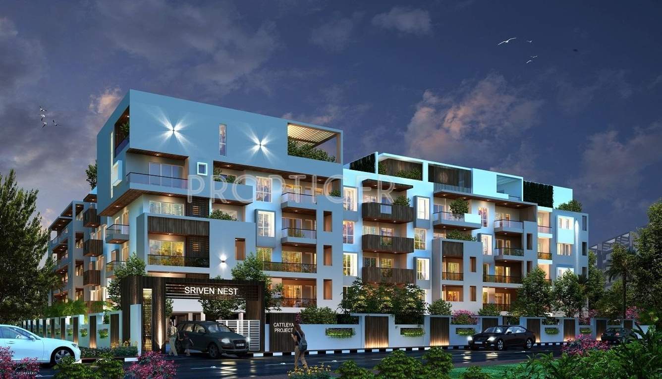  sriven nest Images for Elevation of Cattleya Sriven Nest