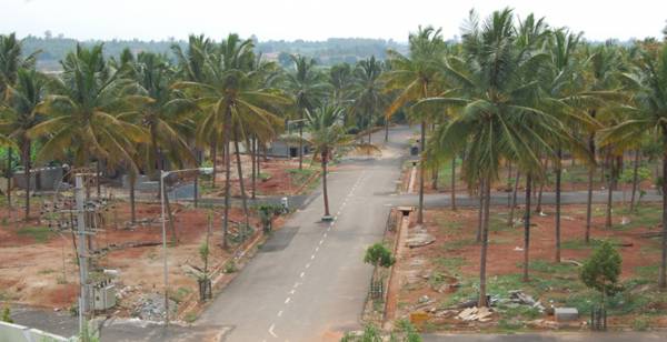 Images for Elevation of RS Royal Meadows