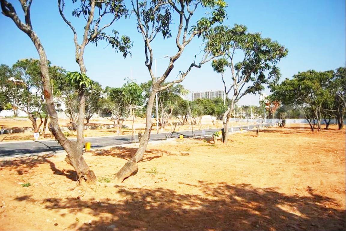 Images for Main Other of RS Royal Meadows