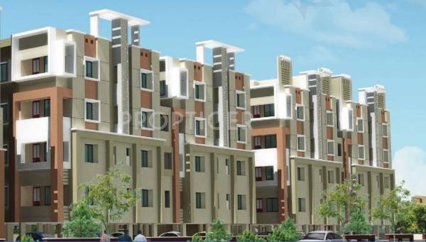 Sonsy Engineers Regal Dove Sonsy Engineers Regal Dove