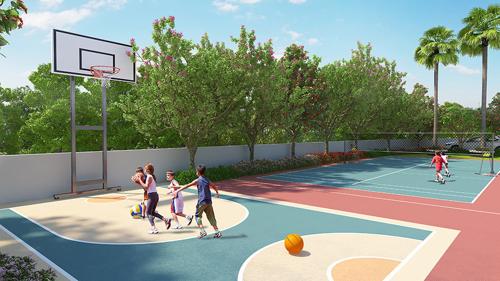  gagan-avencia Basketball Court