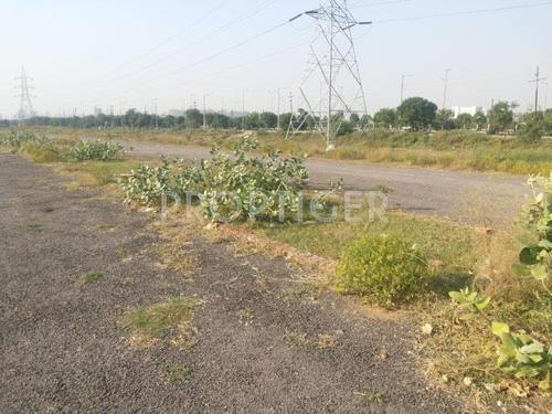  express-avenue NS Promoters Express Avenue