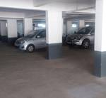 Car Parking  orchids Car Parking
