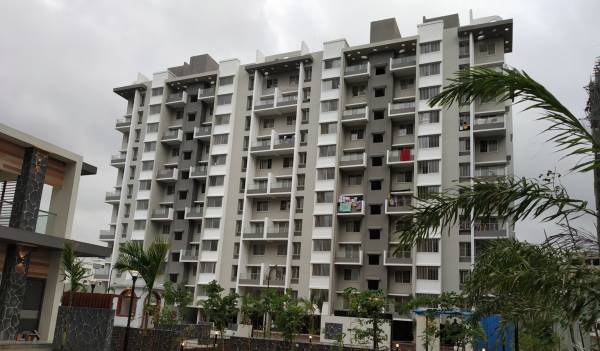 Elevation viviana Elevation