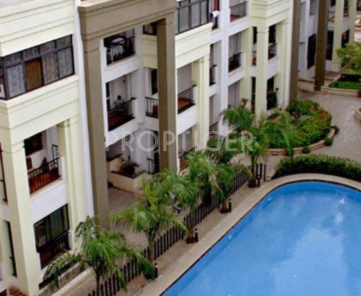 Images for Elevation of Renaissance Park I