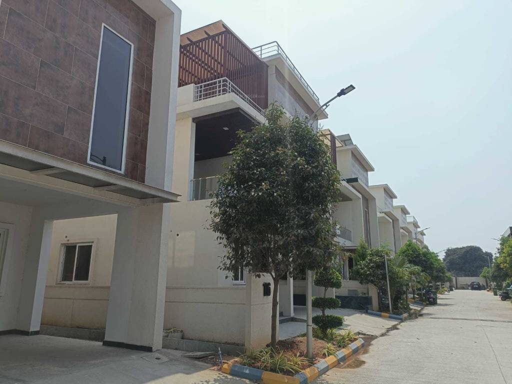  estrella kuber Elevation