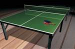 Indoor Games aabharana-elite Indoor Games