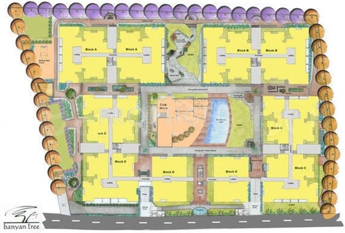  banyan tree Master Plan