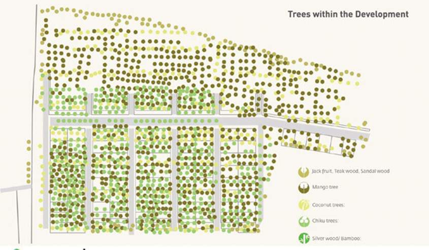  under the sun Images for Layout Plan of Fortius Under The Sun