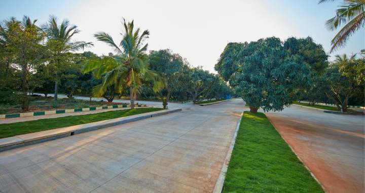  under the sun Others