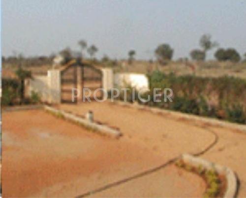 Images for Elevation of AVC Golden City