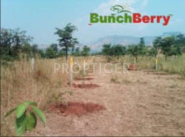 Images for Elevation of Seema Bunch Berry Images for Elevation of Seema Bunch Berry