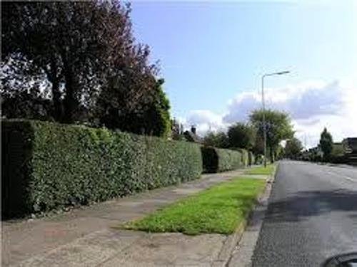  enclave Images for Amenities of Amrutha Enclave