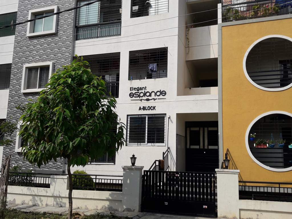  elegant esplande Elevation