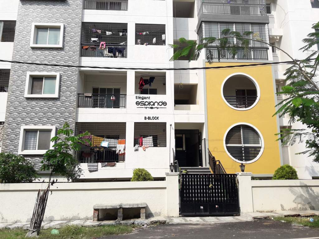  elegant esplande Elevation