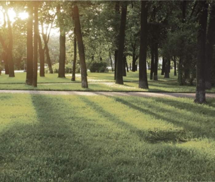 Images for Amenities of Rohan Madhuban II