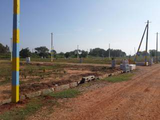 Project Image Project Image