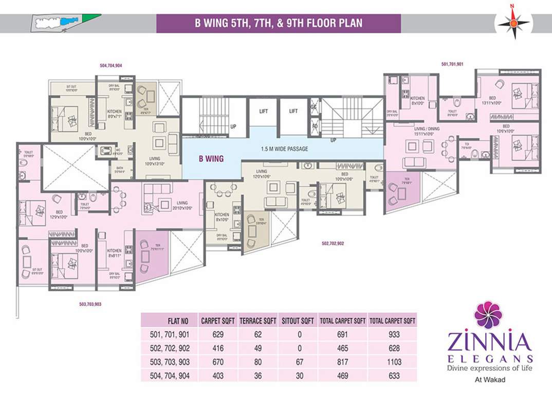 Images for Cluster Plan of  Zinnia Elegans