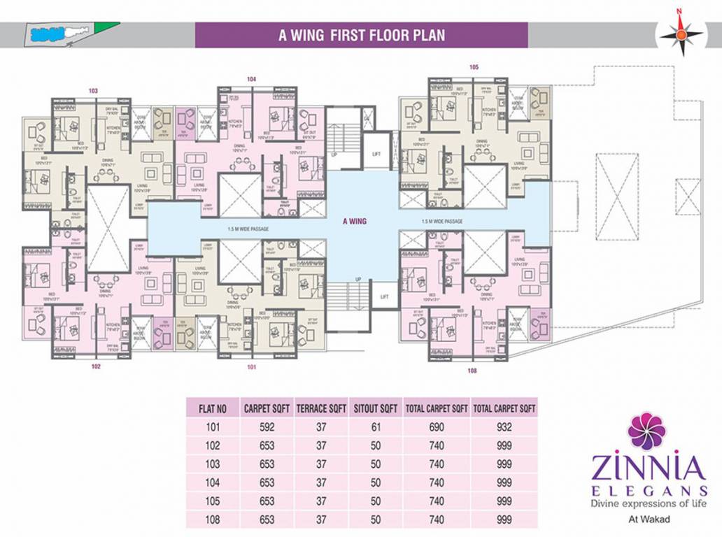 Images for Cluster Plan of  Zinnia Elegans