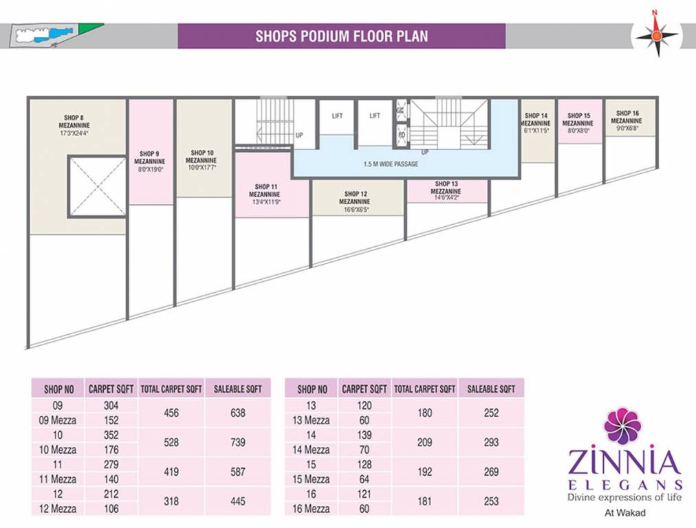 Images for Cluster Plan of  Zinnia Elegans