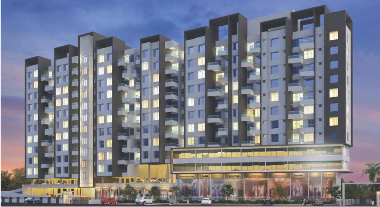 Images for Elevation of  Zinnia Elegans