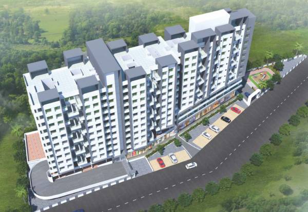 Images for Elevation of  Zinnia Elegans